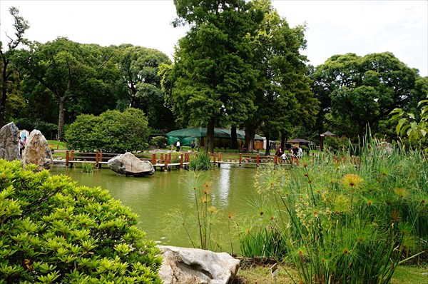 234-Японский сад